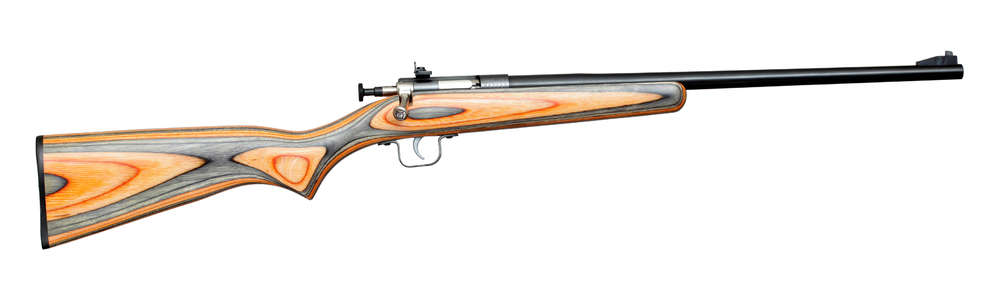 Rifles Long Guns Keystone Sporting Arms Crickett 22LR CRICKETT 22LR BL/BLK-GRN LAM • SINGLE-SHOT